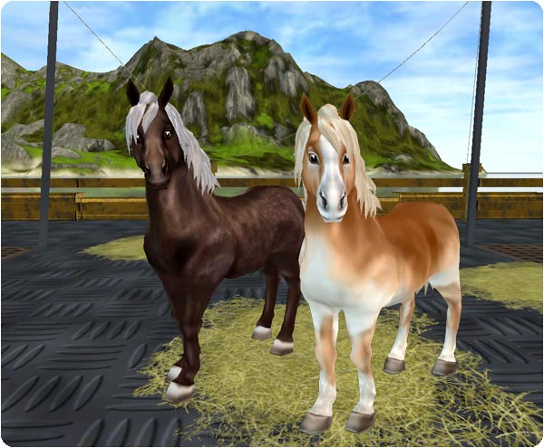 Star Stable Soul Riders, SSO Update Day Reviews