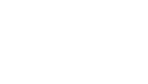 Star Stable - Logo